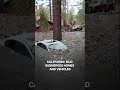 US: Homes And Cars Buried As Storms Flood Parts Of California | N18G