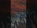 Fitno Ka Door Aur Deen ki Hifazat |#shorts #youtubeshorts #status