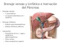 Bazo, Pancreas, Higado y Vias Biliares