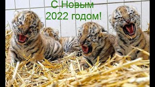 С Новым 2022 годом!