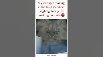 My manager looking at the team members laughing during the working hours👀😡#manager #coders #viral