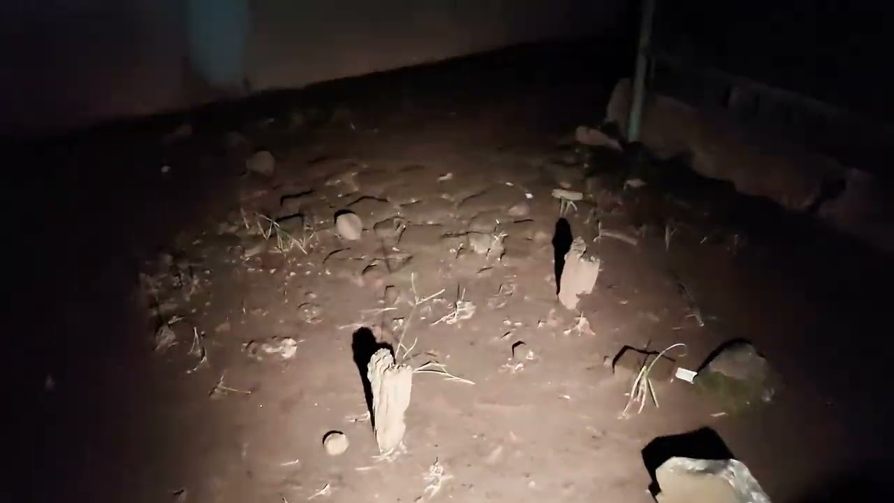 🔴MAKAM PUNDEN ARUM🔴 LIVE TIKTOK: KACE EXPLORE