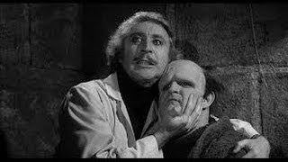 Alan Spencer on Young Frankenstein