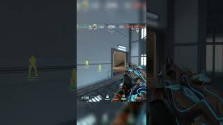 🚀Crazy Raze Main🚀