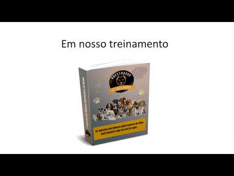 ADESTRADOR DE CÃES