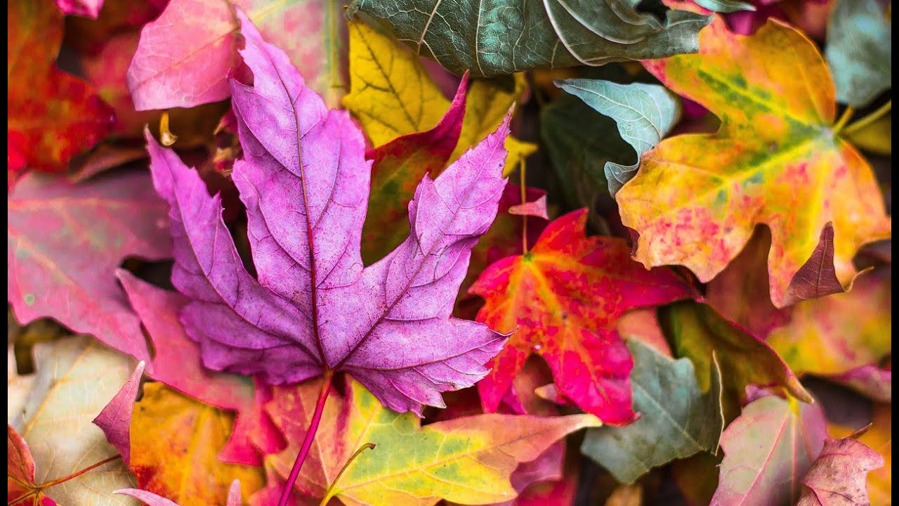 CANCIÓN OTOÑAL (Rubén Darío / Ulises Huete Bendaña) demo 1990