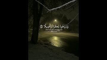 راحة نفسية | قرآن كريم بصوت جميل جدا😴❤️#القارئ ياسر الدوسري | اجمل حالات واتس اب دينية قصيرة