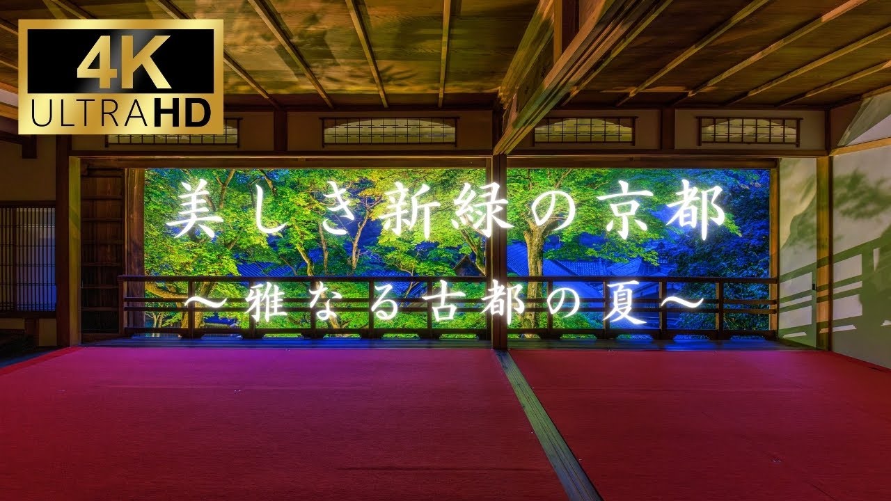 【4K】美しき新緑の京都～雅なる古都の夏～【絶景】