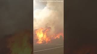 Video shows intense wildfire burning in New Jersey