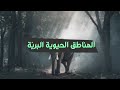 المناطق الحيوية البريّة