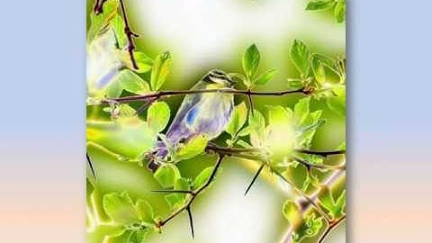 Special Effects slideshow