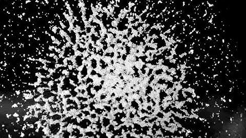 Dense Suspension Impact