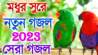 47 সেরা গজল নতুন   Bengali new gajal    মন ভরানো গজল 2023   , Bengali gajal, islamic Bengali gojol 2