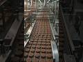 Inside the Factory That Makes Millions of Oreo Cookies Every Day 🍪🤯#Oreo #Factory #viral#Documentary