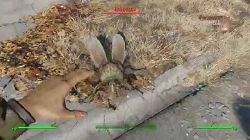 Fallout 4 PC Survival Playthrough (No Commentary) - Part 3 - Red Rocket Truck Stop and Discord