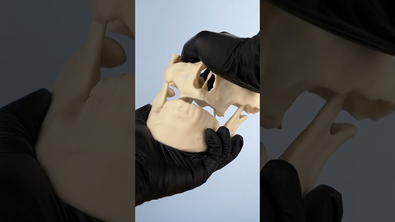 4 Resinas 4 Impressões para odontologia! 