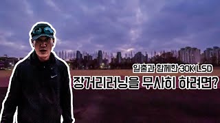 장거리 러닝을 무사히 마치려면 ㅣ부상예방ㅣ30K LSDㅣ서울마라톤준비ㅣ 일출