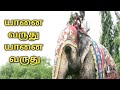 Yaanai varuthu yaanai varuthu l     l tamil rhymes for children l toddlersslate