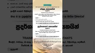 දම්රෝ වෙළෙඳ සහායකයින් ඉක්මනින්ම බදවා ගැනීම් සිදුකෙරේ | DAMRO Sales Assistant job vacancies 2025