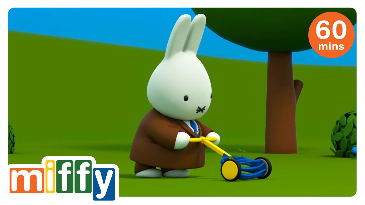 Dad is mowing the lawn | Miffy | Cartoons for kids