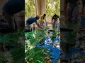 "Increíble Suelo de Epoxi 3D en medio de la Selva 🌴🌊"