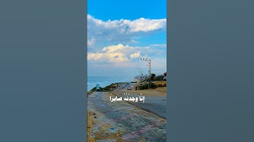 نعم العبد إنه أواب☘️🌸 #قران_كريم #تلاوات #تلاوة_خاشعة #قرآن