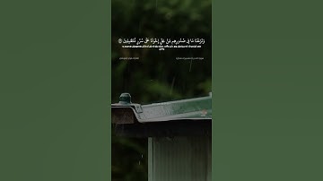 سورة الحجر (تەفسیری هەژار) ٤٥ - ٤٨ القارئ هزاع البلوشي