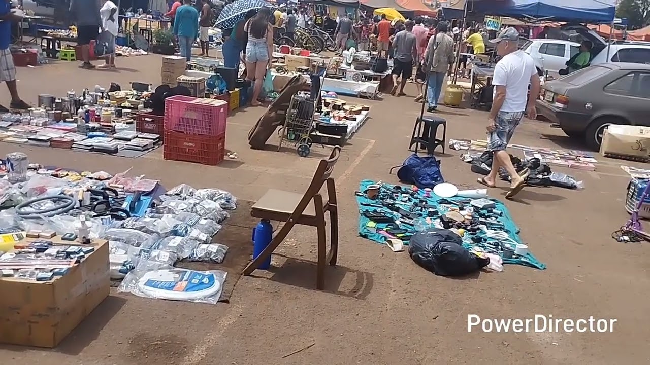 Feira do rolo de samambaia Norte - YouTube