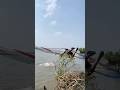 catch amazing fishing time River deshi vlog #safanafishing #fishingequipment #fishinggear #casnet