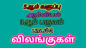 🛑5th Std Science 3rd term lesson 2 விலங்குகள் கேள்வி பதில்களை புத்தகம் 🛑