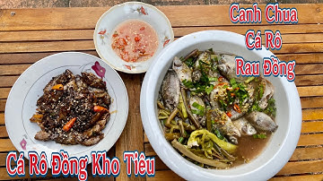 ThanhVlog - Bữa Cơm Không Đồng, Cá Rô kho Tiêu, Canh Chua Cá Rô Rau Đồng