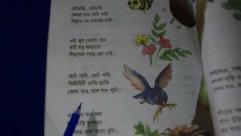 Class 2 EV, Bangla, Final Lecture 41