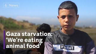 Israel Gaza war: more children dying of starvation warns WHO