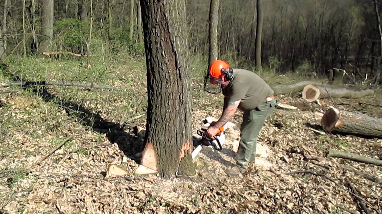 Fakitermelő / Logging