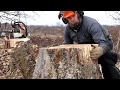 CRAZY STUMP REMOVAL TRICK (funny- not how to)