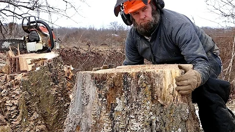 CRAZY STUMP REMOVAL TRICK (funny- not how to)