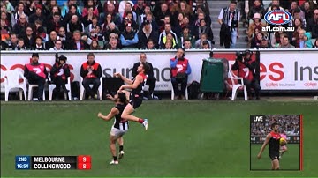 AFL Mark of the Year - Jeremy Howe Round 12