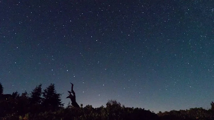 Perseid Meteor Shower August 11th-12th (10pm to 5am)