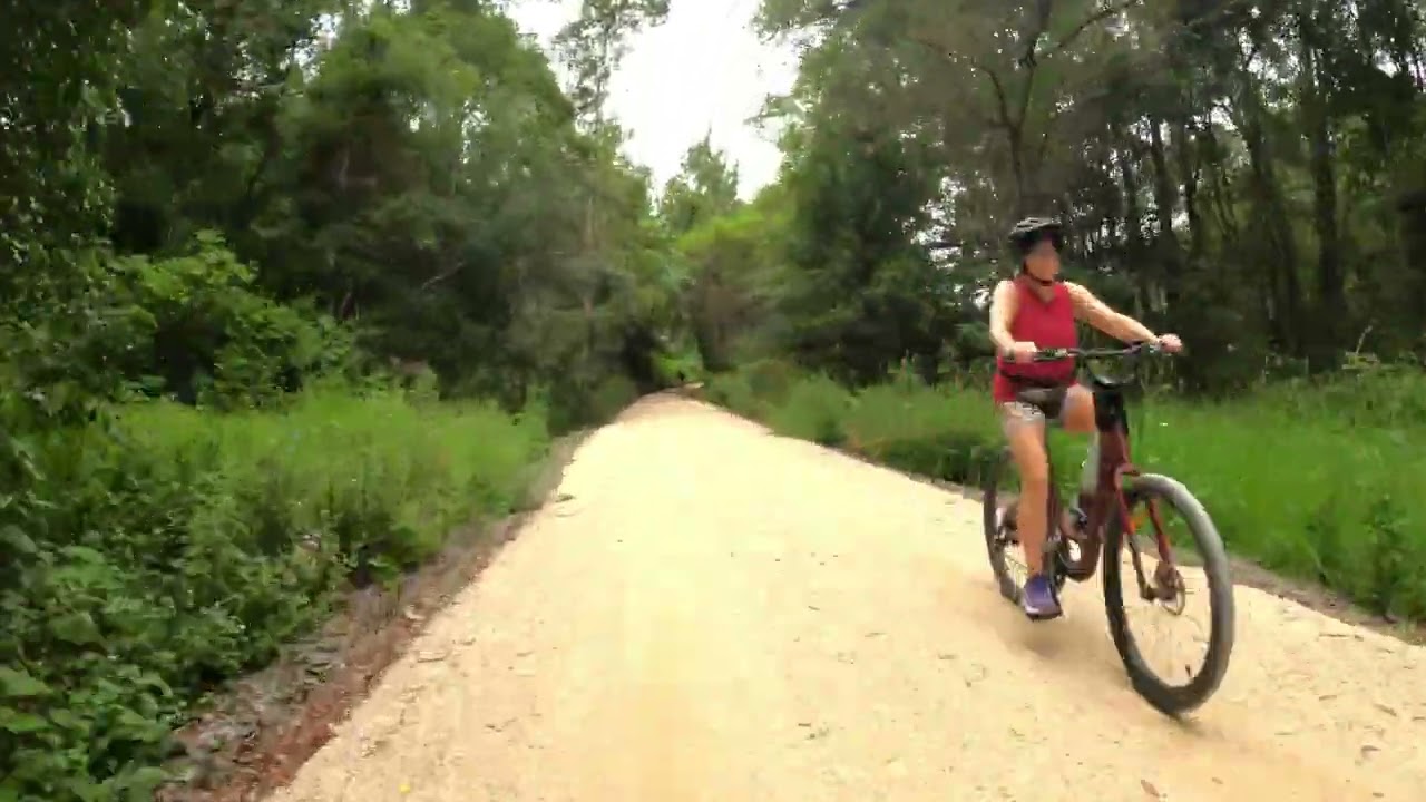Northern Rivers Rail Trail Stokers Siding to Burringbar Tunnel