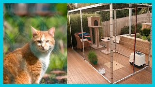 41 IDEAS of CAGES for CATS (CATIO) 2022