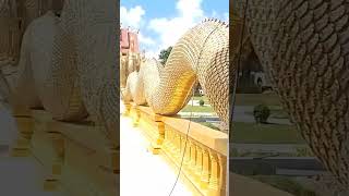 #ວັດໜອງຄຳແສນ#