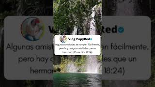 Proverbios 18:24 | Bendiciones | #Shorts #Versiculos | #VlogPopyRed