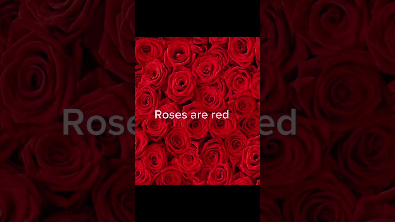 Send This To Your Dad 