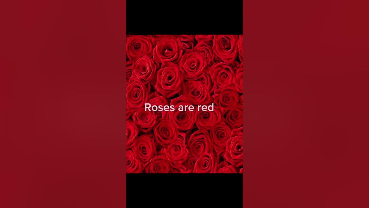 Send this to your dad ❤️
