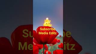 sufi qawwali/#lifeisbutadream #music #song #independenceday #soulfulmusic #spiritualjourney