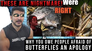 Famous Why You Owe People Afraid of Butterflies an Apology Wealth