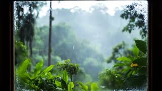 Suara I  Suara Pertama Dengungan Leluhur U0026 Hujan Hutan