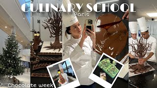 Culinary School In Paris Pastry Student, Chocolate Week, Vlog, School, University In Paris, Friends