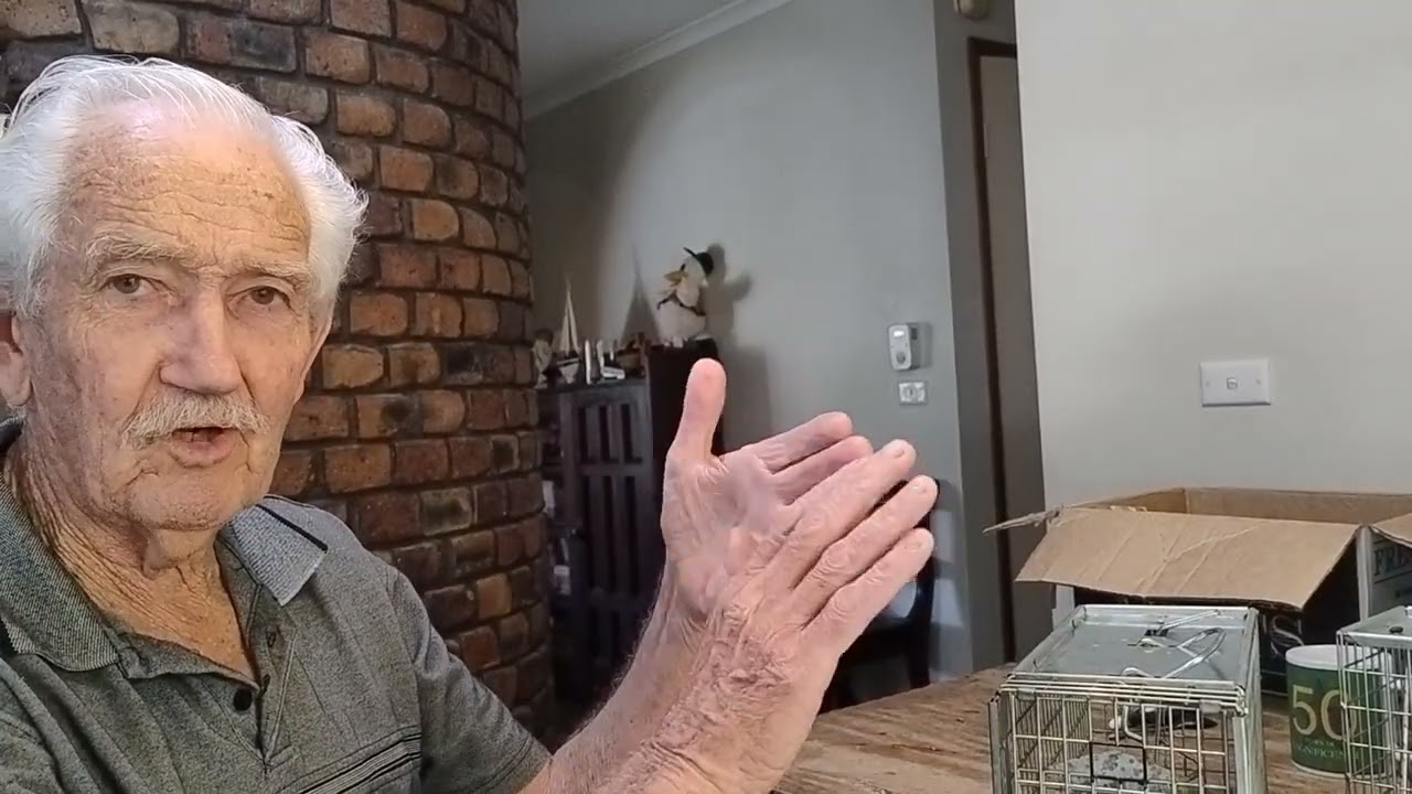 Big Cheese Rat Trap Review