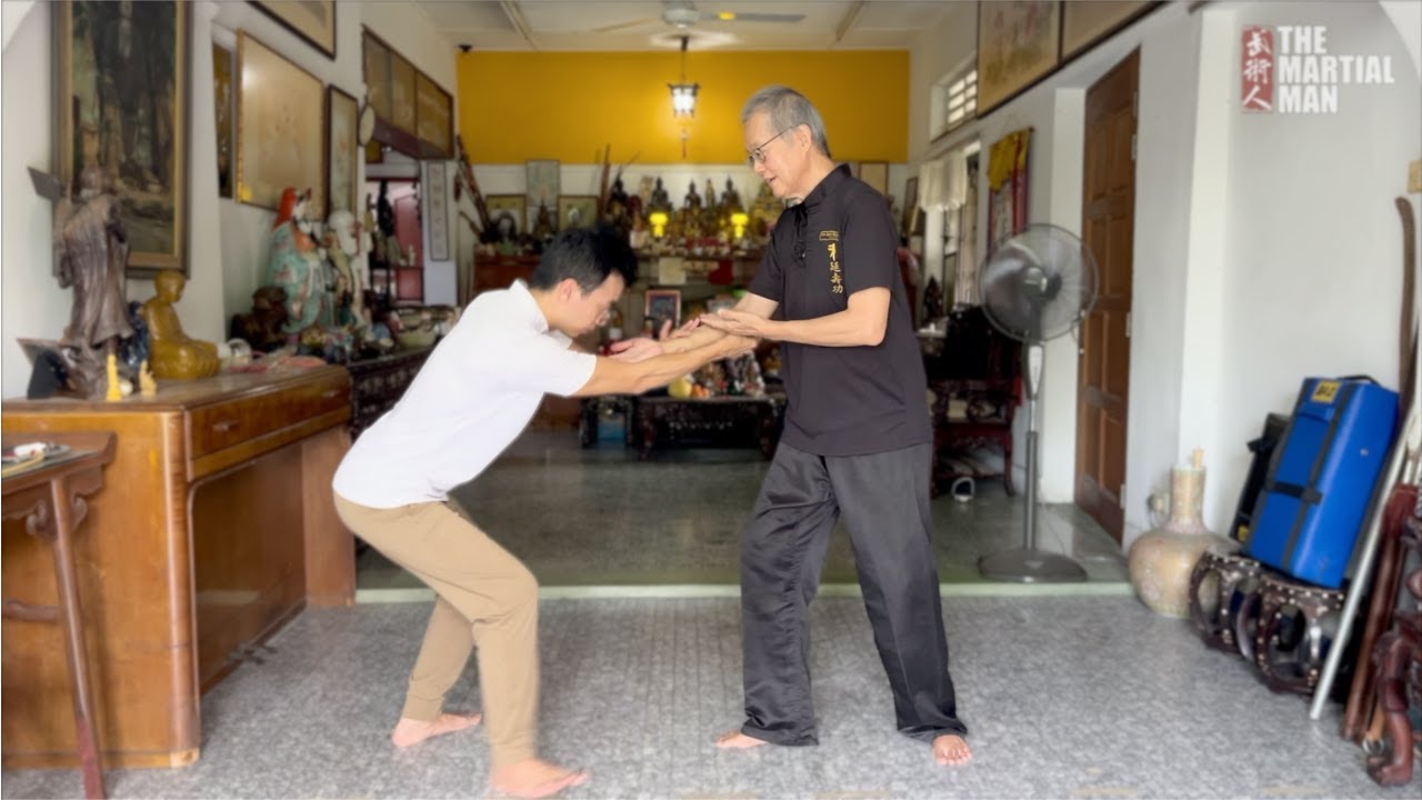 Learn how to Control and Channel Energy - Explained by Master Yap Boh Heong